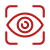 Vision Icon